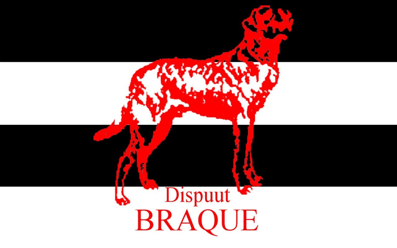 Logo Braque